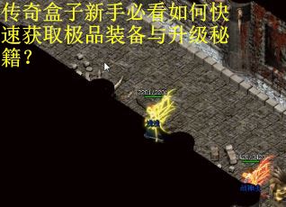 传奇盒子新手必看如何快速获取极品装备与升级秘籍？