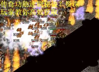 传奇功勋速刷秘诀？资深玩家教你高效获取