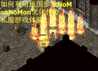 如何利用地图参数NoManNoMon优化传奇私服游戏体验？