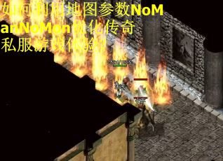 如何利用地图参数NoManNoMon优化传奇私服游戏体验？