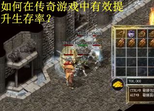 如何在传奇游戏中有效提升生存率？