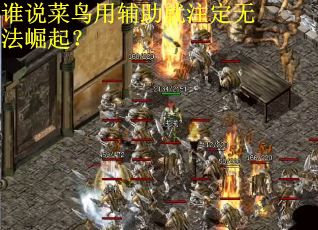 谁说菜鸟用辅助就注定无法崛起？