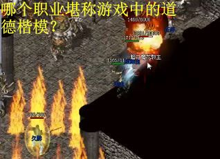 哪个职业堪称游戏中的道德楷模？