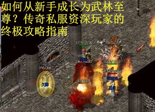 如何从新手成长为武林至尊？传奇私服资深玩家的终极攻略指南