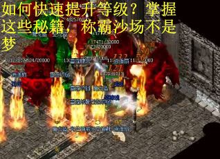 如何快速提升等级？掌握这些秘籍，称霸沙场不是梦