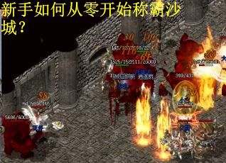 新手如何从零开始称霸沙城？