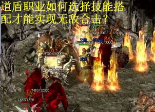 道盾职业如何选择技能搭配才能实现无敌合击？