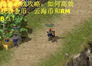 传奇游戏攻略：如何高效获取金币、云海币和RMB点？
