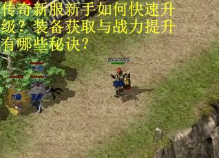 传奇新服新手如何快速升级？装备获取与战力提升有哪些秘诀？