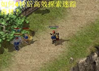 如何4转后高效探索迷踪森林? 如何4转后高效探索迷踪森林?