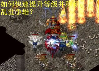 如何快速提升等级并称霸乱世争雄？