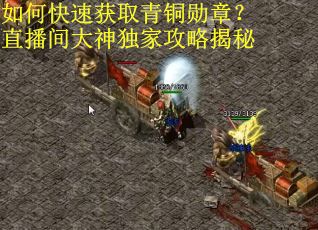 如何快速获取青铜勋章？直播间大神独家攻略揭秘