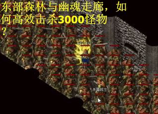 东部森林与幽魂走廊，如何高效击杀3000怪物？