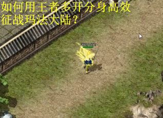 如何用王者多开分身高效征战玛法大陆？