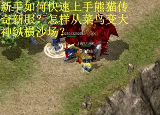 新手如何快速上手熊猫传奇新服？怎样从菜鸟变大神纵横沙场？
