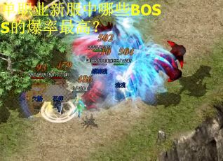 单职业新服中哪些BOSS的爆率最高? 单职业新服中哪些BOSS的爆率最高?
